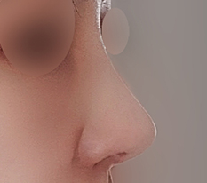 A sculpted-looking nose haha