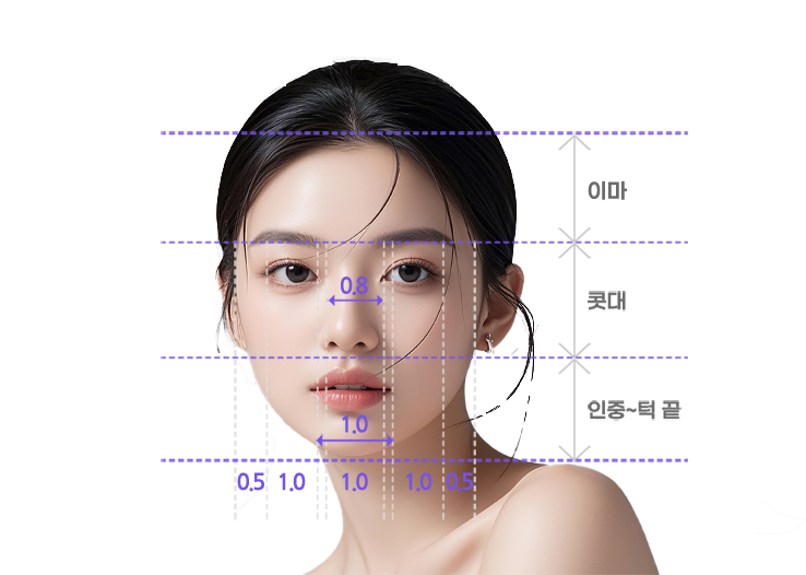 สัดส่วนจมูกในอุดมคติ — แผนภาพวัดสัดส่วนใบหน้าแนวนอนและแนวตั้ง (1:1:0.8)