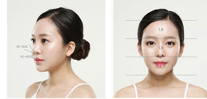 ภาพใบหน้าด้านข้างและด้านหน้าที่แสดงเกณฑ์รูปทรงจมูกในอุดมคติ (แสดงมุมและสัดส่วน)