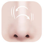 ภาพประกอบจมูกที่วัสดุเสริมเคลื่อน