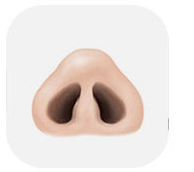 ภาพประกอบจมูกที่ปลายจมูกถูกกดทับ